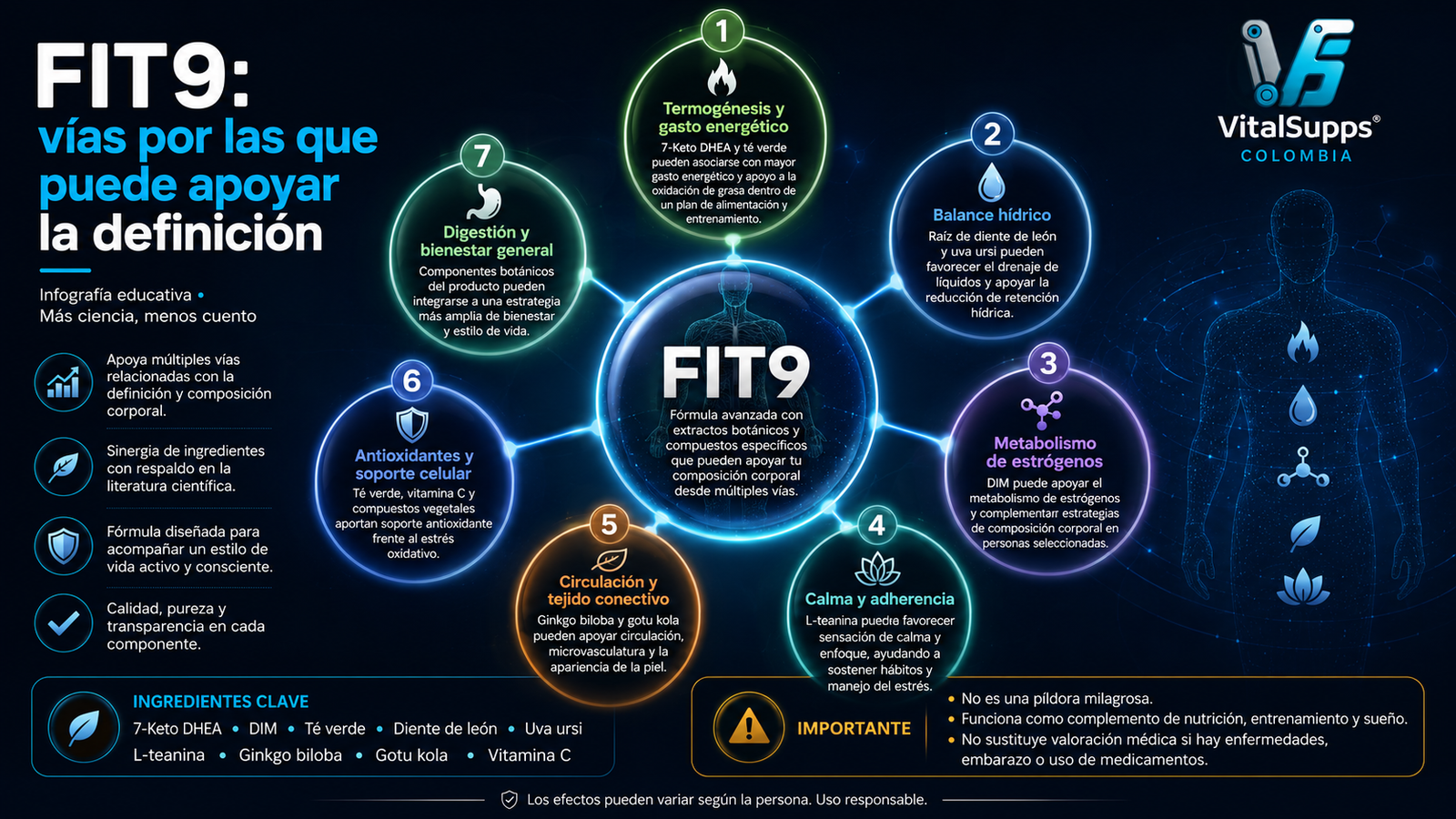 Infografía de FIT9 sobre vías de apoyo a la definición y composición corporal en VitalSupps Colombia